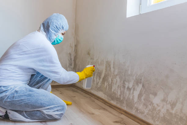 Licensed Commercial Mold Remediation service in Schwenksville, PA - WQB Mold Removal