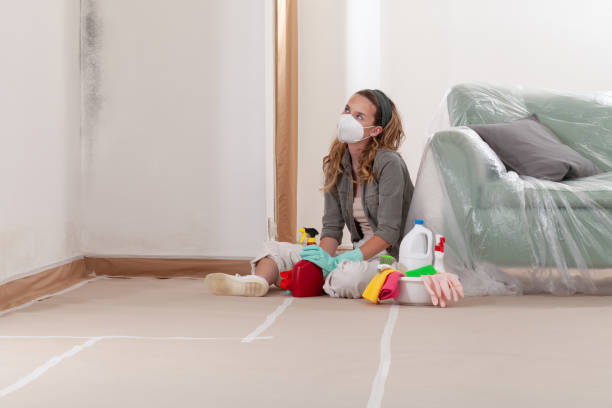Reliable Commercial Mold Remediation contractor in Schwenksville, PA by WQB Mold Removal